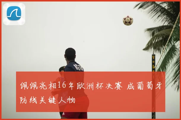 佩佩亮相16年欧洲杯决赛 成葡萄牙防线关键人物