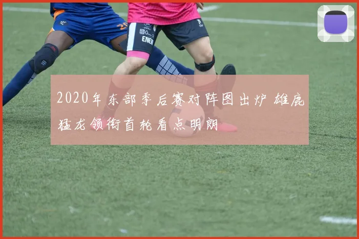 2020年东部季后赛对阵图出炉 雄鹿猛龙领衔首轮看点明朗