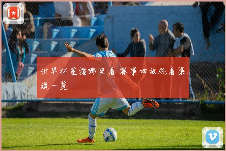 世界杯重播哪里看 赛事回放观看渠道一览
