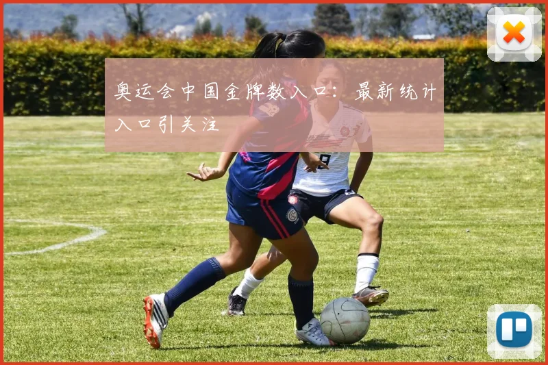 奥运会中国金牌数入口：最新统计入口引关注