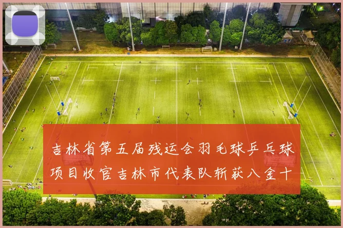 吉林省第五届残运会羽毛球乒乓球项目收官吉林市代表队斩获八金十银十二铜
