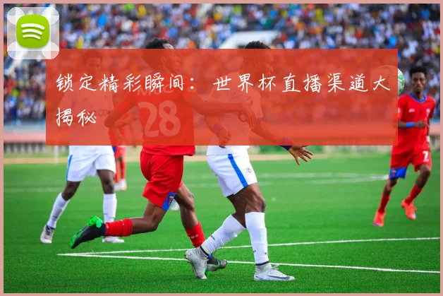 锁定精彩瞬间:世界杯直播渠道大揭秘