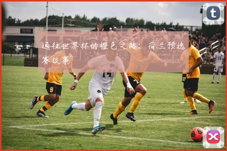 通往世界杯的橙色之路：荷兰预选赛故事