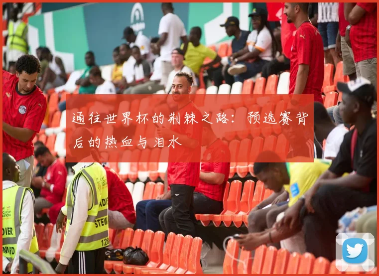 通往世界杯的荆棘之路：预选赛背后的热血与泪水