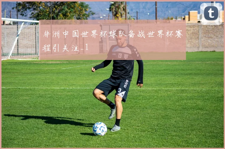 非洲中国世界杯球队备战世界杯赛程引关注_1
