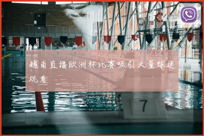 越南直播欧洲杯比赛吸引大量球迷观看
