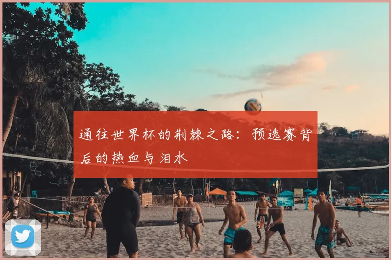 通往世界杯的荆棘之路:预选赛背后的热血与泪水