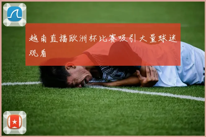 越南直播欧洲杯比赛吸引大量球迷观看