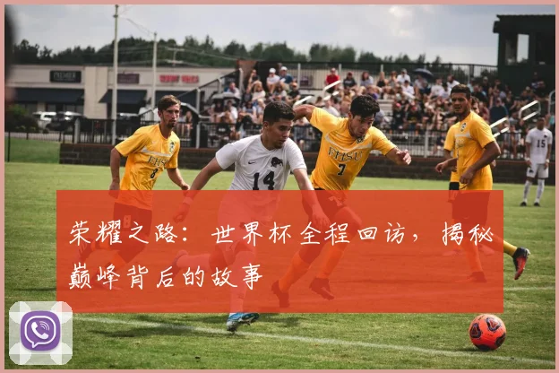荣耀之路：世界杯全程回访，揭秘巅峰背后的故事