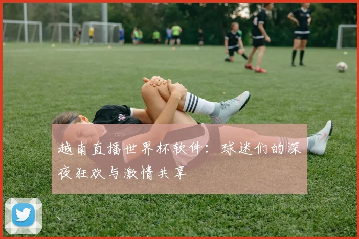 越南直播世界杯软件：球迷们的深夜狂欢与激情共享