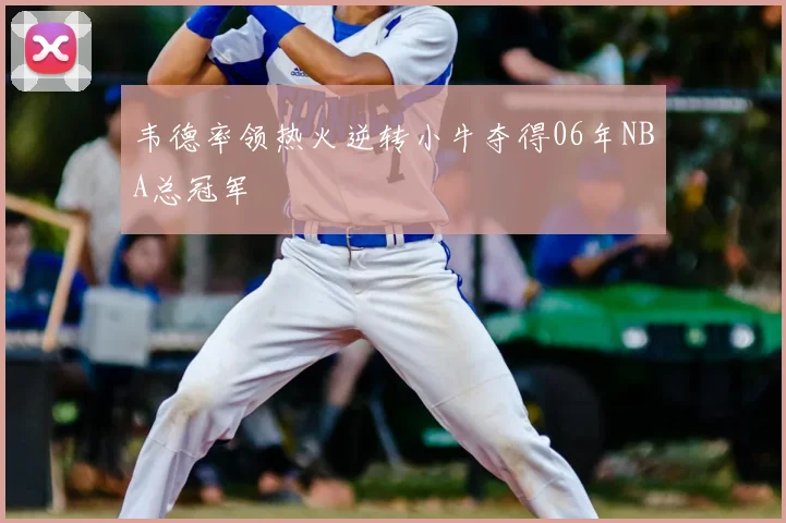 韦德率领热火逆转小牛夺得06年NBA总冠军