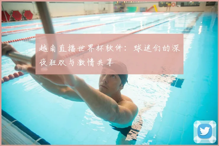 越南直播世界杯软件：球迷们的深夜狂欢与激情共享