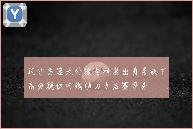辽宁男篮大外援考神复出首秀砍下高分稳住内线助力季后赛争夺