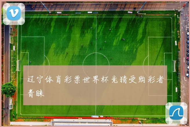 辽宁体育彩票世界杯竞猜受购彩者青睐
