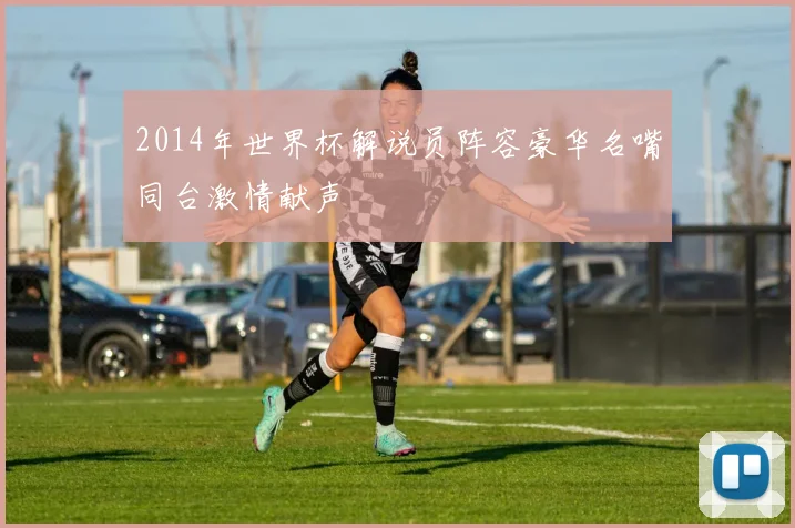 2014年世界杯解说员阵容豪华名嘴同台激情献声