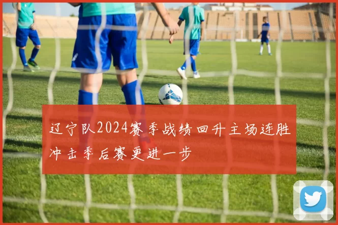 辽宁队2024赛季战绩回升主场连胜冲击季后赛更进一步