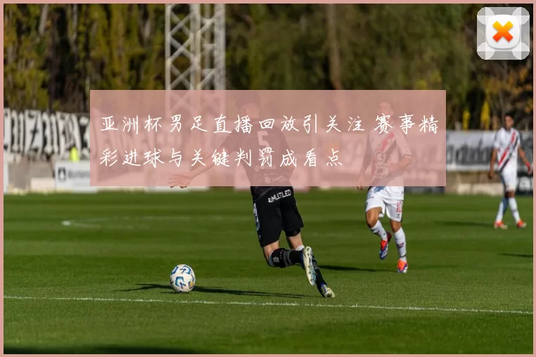 亚洲杯男足直播回放引关注 赛事精彩进球与关键判罚成看点