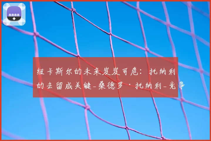纽卡斯尔的未来岌岌可危：托纳利的去留成关键_桑德罗·托纳利_竞争_伊萨克