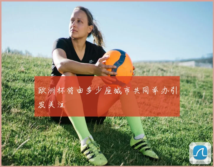 欧洲杯将由多少座城市共同举办引发关注